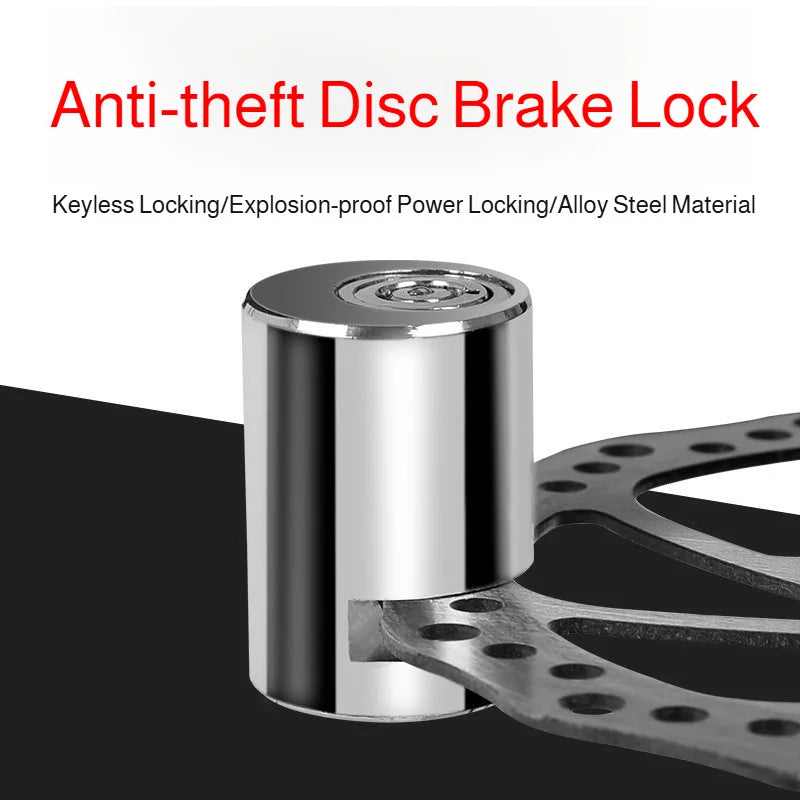 Motorcycle Anti-Theft Disc Brake Lock